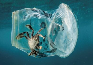 TAHEKVZJNXH5ZUSPMT4CWTQ7VE